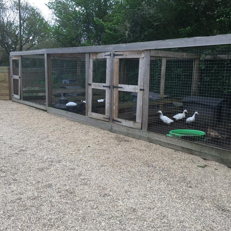 Willow Court Farm The Lodge & Petting Farm, 8 Mins From Legoland & Windsor, 15 Mins From Lapland Uk Exterior photo